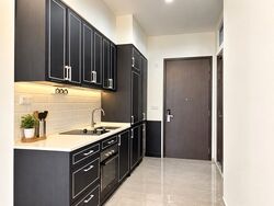 Mayfair Gardens (D21), Condominium #617726111